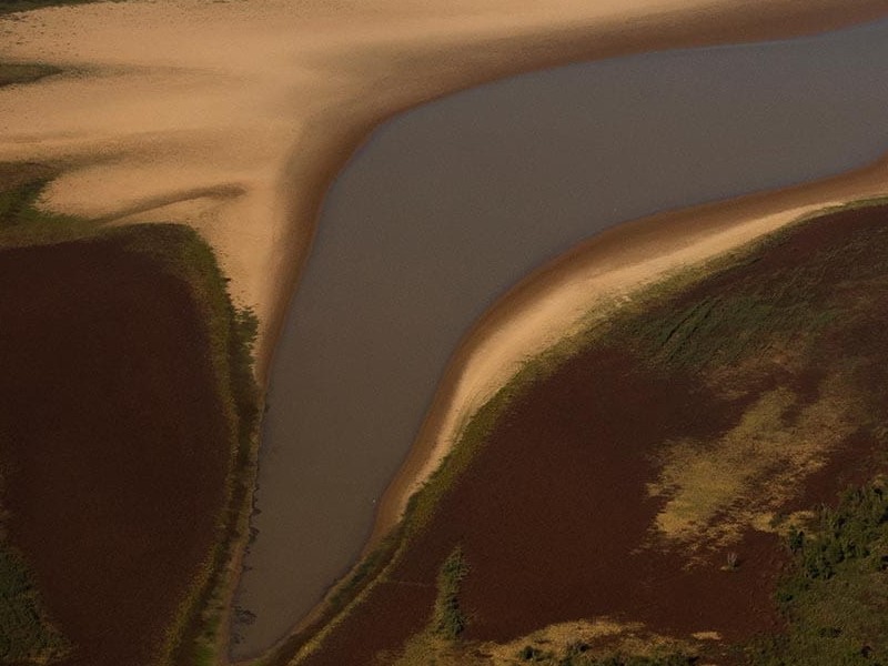 Río Paraná: “No es una bajante, no es una sequía. Es la deforestación”