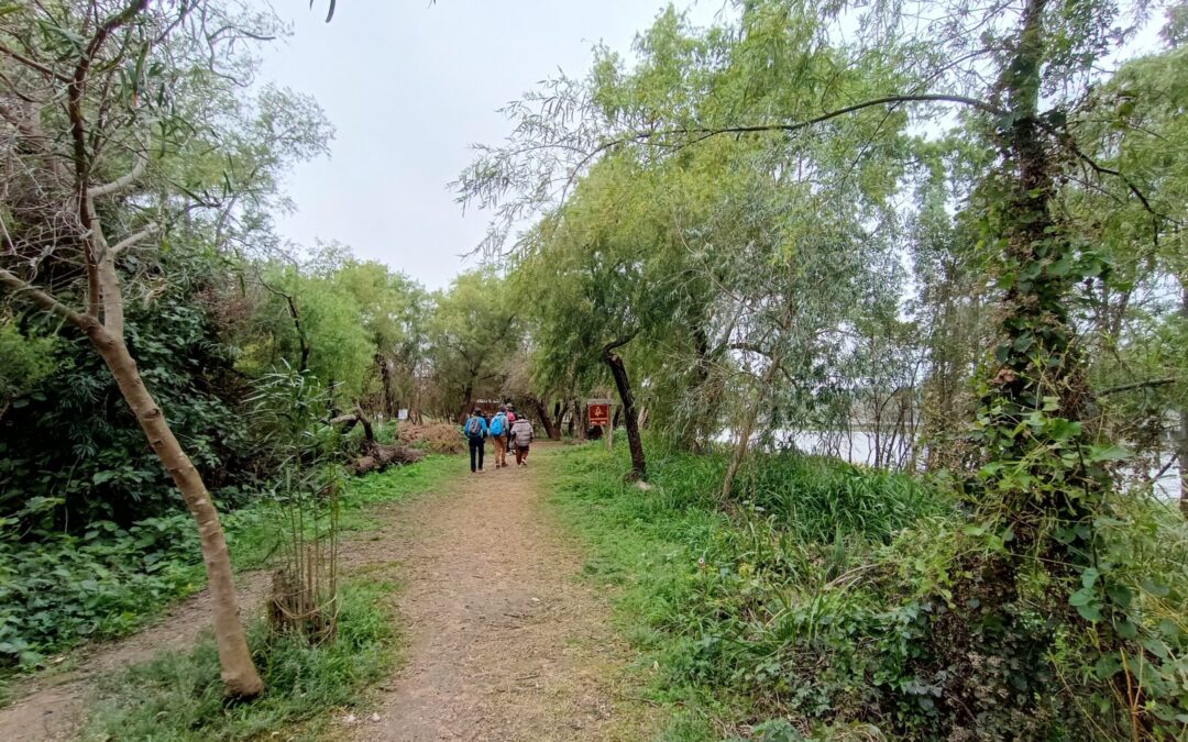 El Islote Curupí, una muestra de la dinámica del río | VLSA