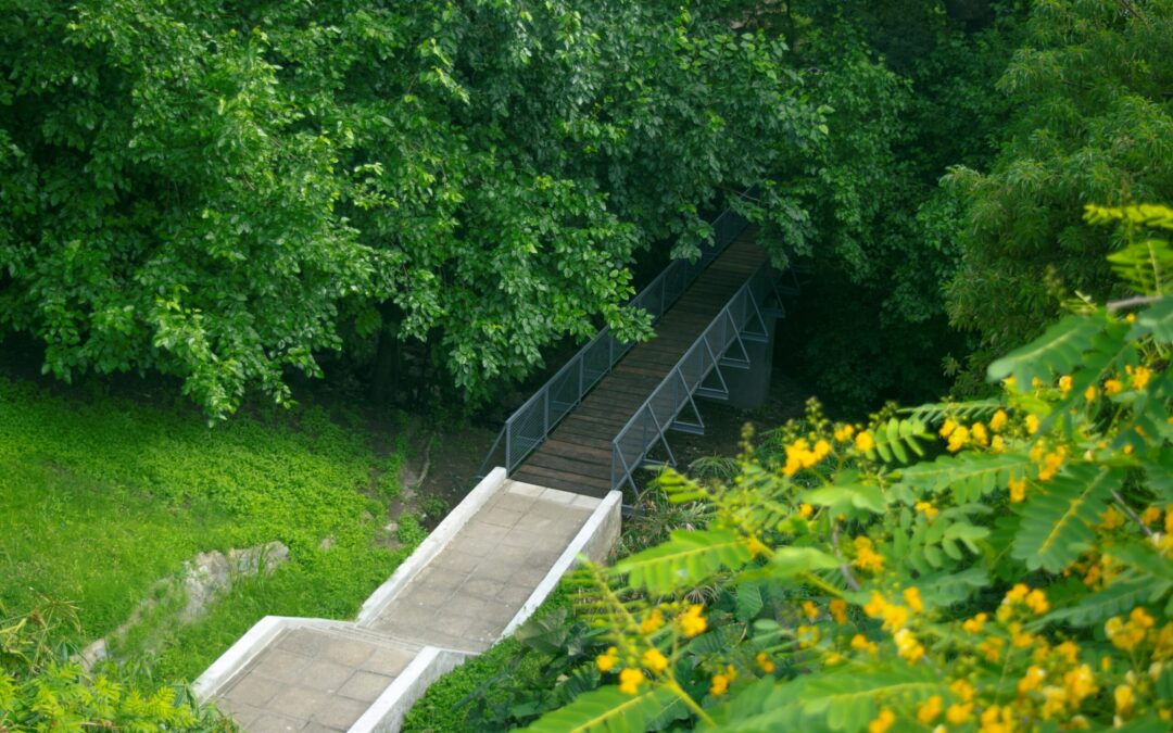 Identidad de Nuestros Espacios Verdes: Paseo Jardín Marcelino Román