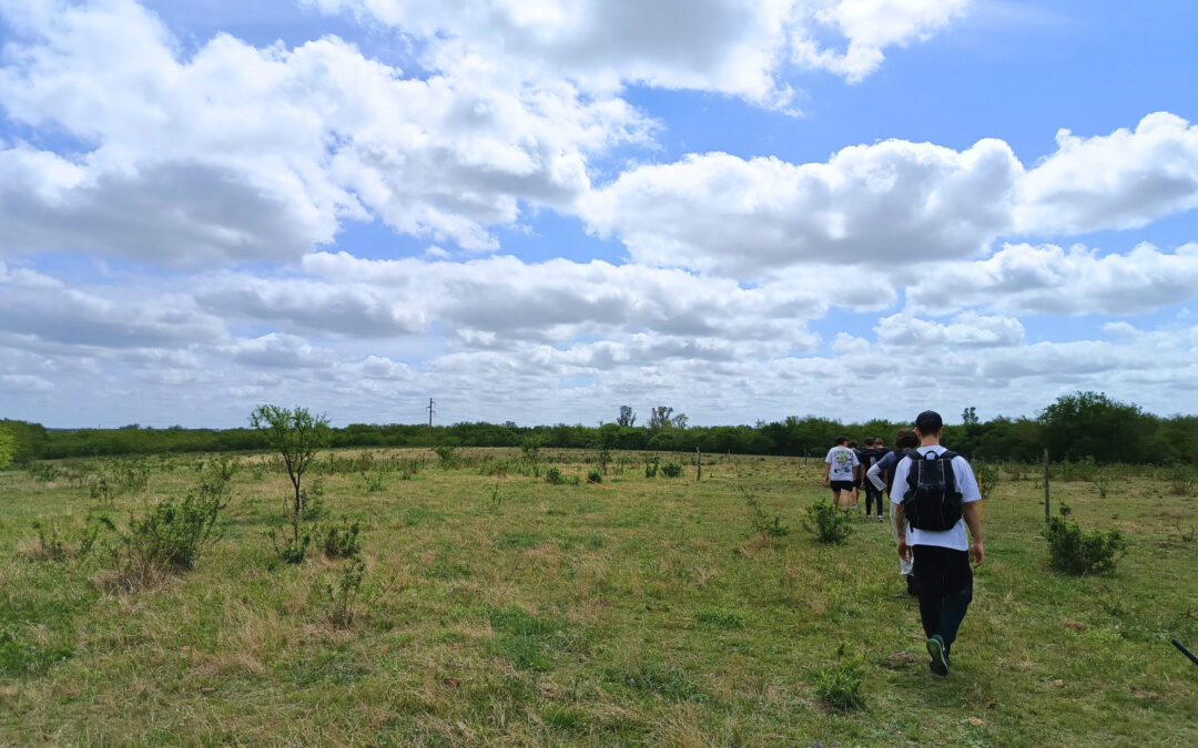 La Porota: un recorrido de esperanza, resistencia y cariño | VLSA