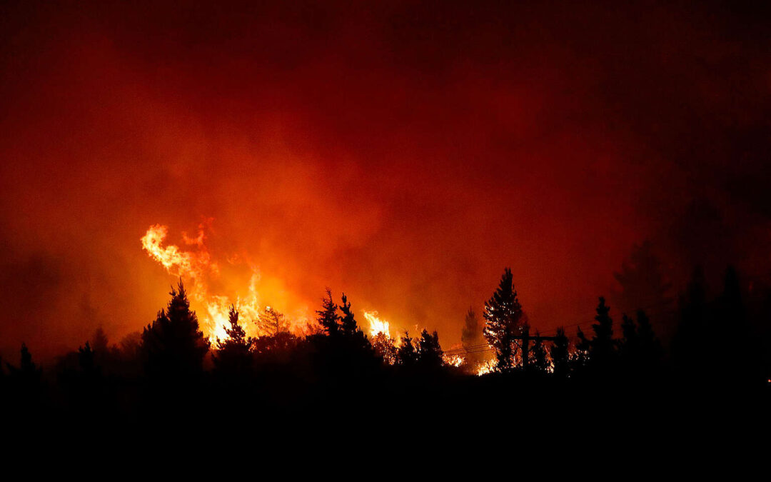 Patagonia en llamas: Los incendios forestales ya arrasaron más de 10.000 hectáreas