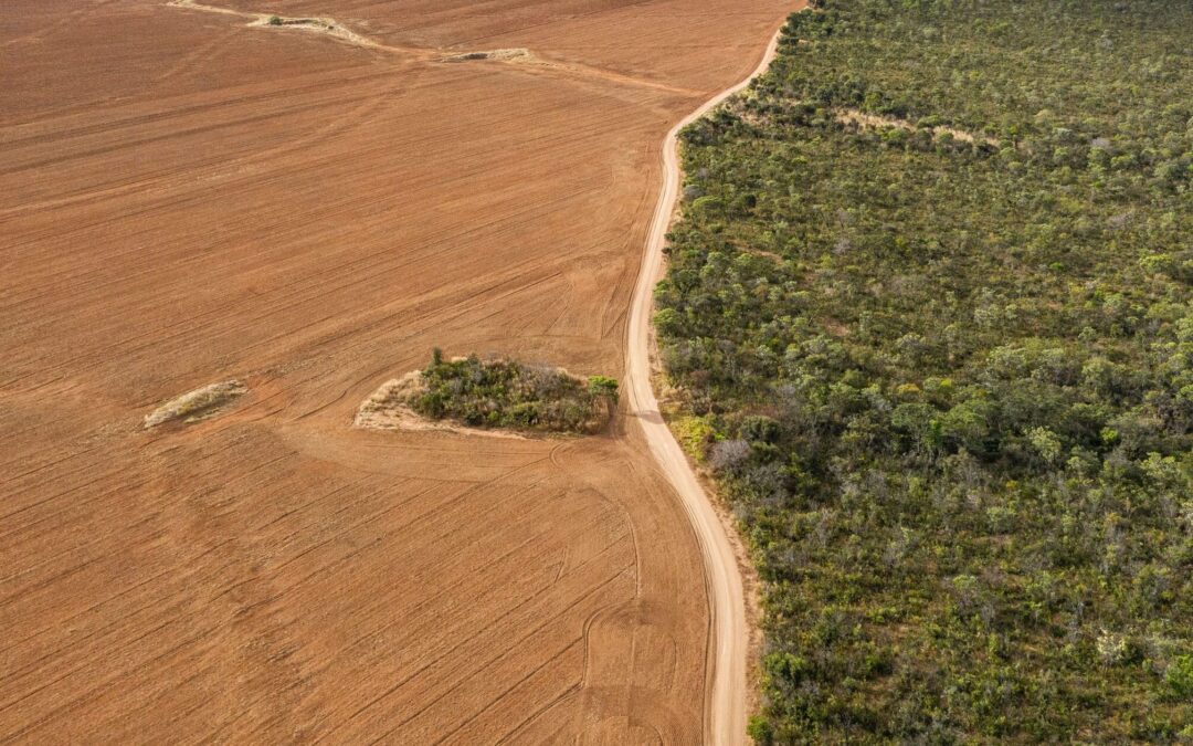 Celebramos el Día de la Tierra con saberes que regeneran: Presentación del libro «La Terra Preta» y entrega de diplomas en Economía Circular.