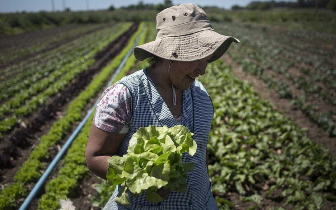 Congreso de Agroecología de los Pueblos, del monocultivo a la biodiversidad