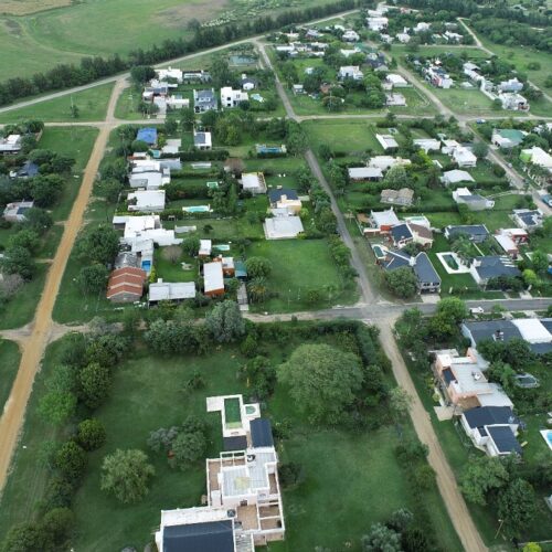 «Mapas vivos» para conocer, cuidar y planificar   estratégicamente el arbolado urbano