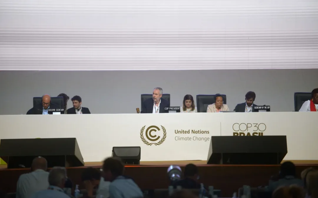 La COP30 finalizó con compromisos mínimos, objeciones latinoamericanas y un gran trabajo por delante