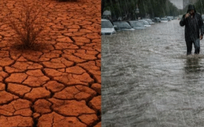 Récords de lluvias, de temperatura y de fuego en 2025: los impactantes datos que dejó el clima en Argentina