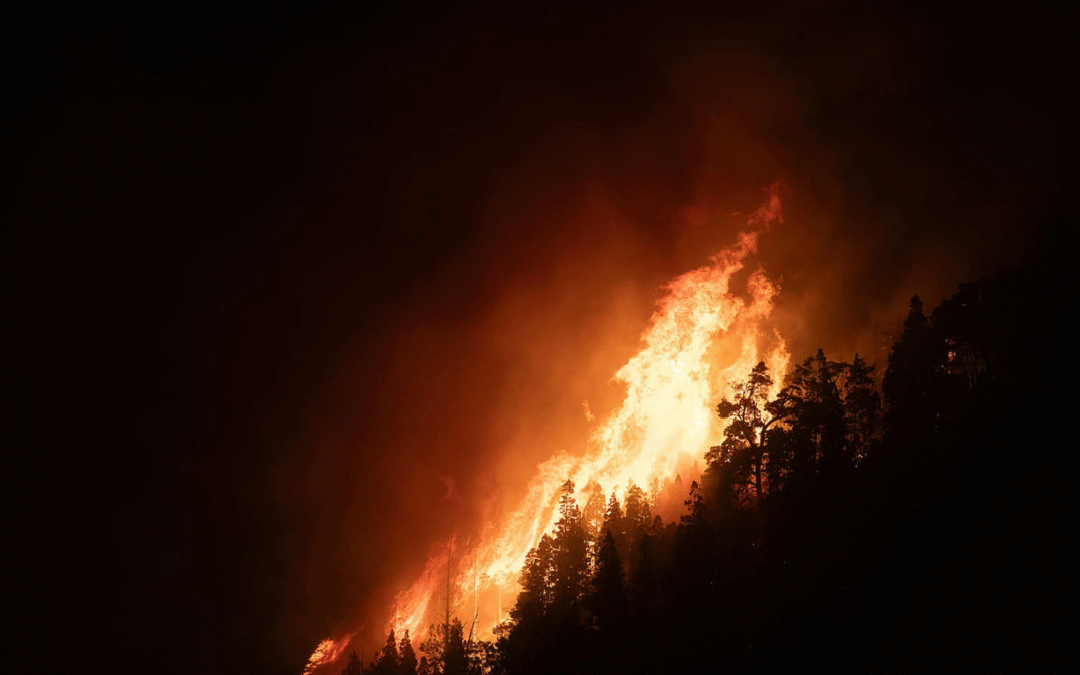 Ecocidio anunciado en Chubut: 21.000 hectáreas arrasadas por el fuego