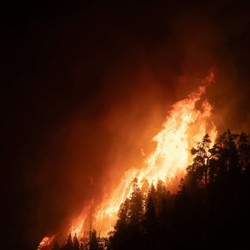 Ecocidio anunciado en Chubut: 21.000 hectáreas arrasadas por el fuego