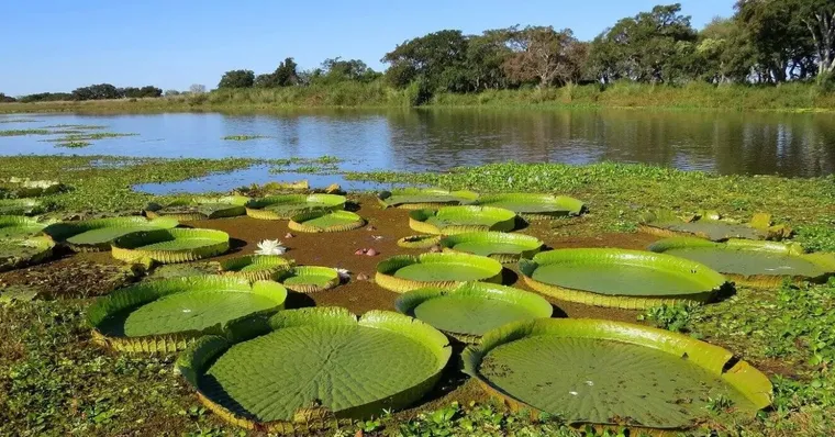 La pérdida de humedales ya alcanza casi un cuarto en 50 años