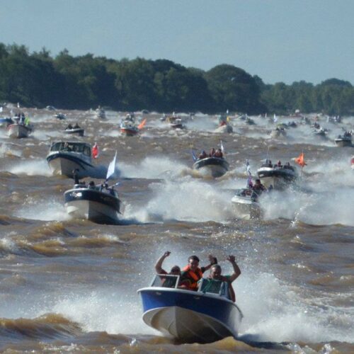Fiesta Nacional del Surubí: récord de lanchas, crisis de peces y un río depredado.