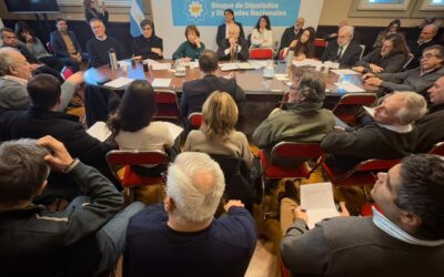 Congresistas abren la escucha a organizaciones que luchan por el río Paraná