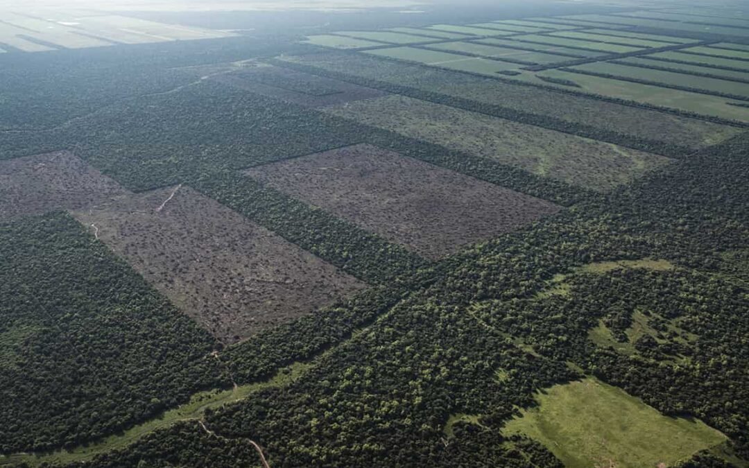 Argentina en venta: el Gobierno y sus aliados buscan legalizar la entrega sin límites de tierras a extranjeros
