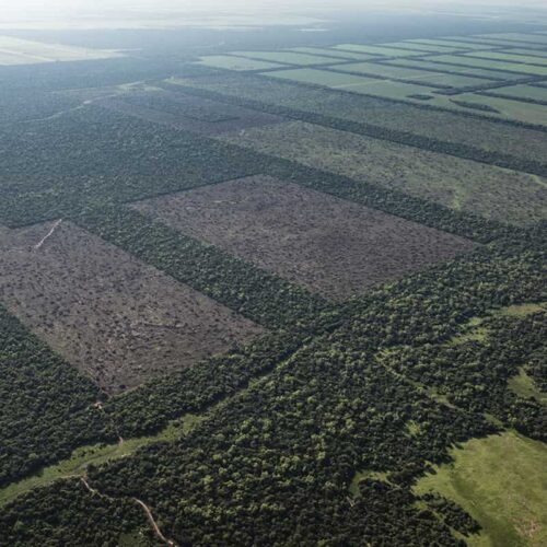 Argentina en venta: el Gobierno y sus aliados buscan legalizar la entrega sin límites de tierras a extranjeros