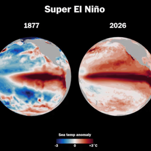 «Super Niño»: advierten por las inundaciones a partir de septiembre en la región