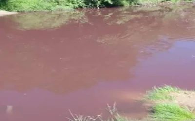 Un estudio científico encendió las alarmas por la contaminación de cuatro arroyos entrerrianos