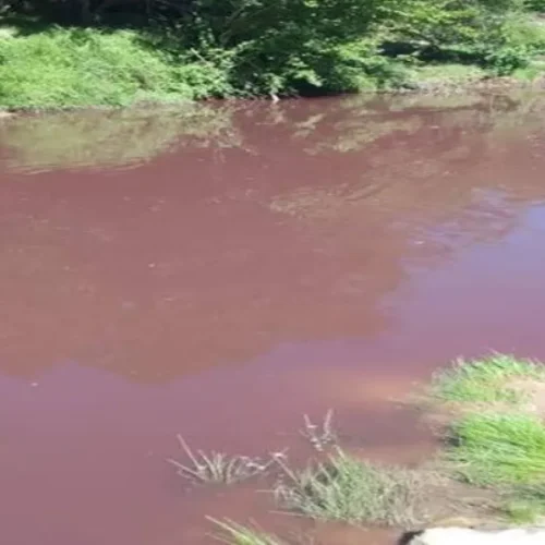 Un estudio científico encendió las alarmas por la contaminación de cuatro arroyos entrerrianos