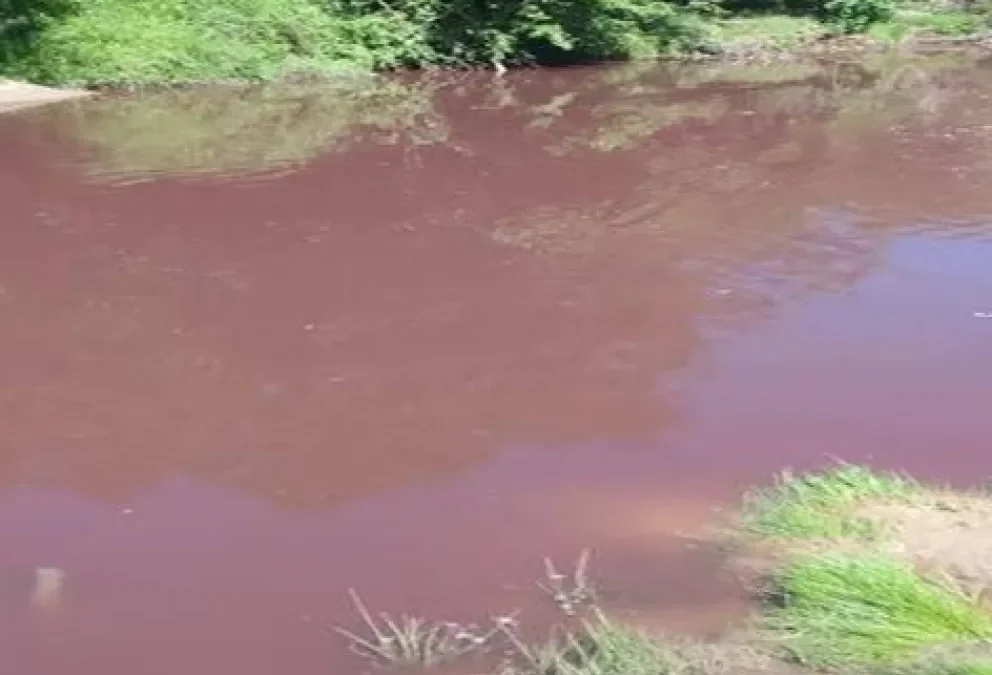 Un estudio científico encendió las alarmas por la contaminación de cuatro arroyos entrerrianos