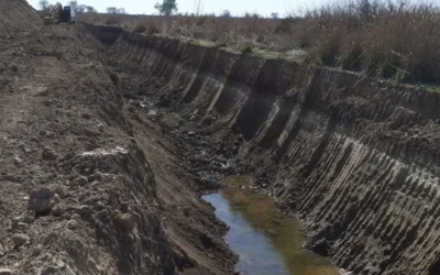 Confirman daño ambiental sobre 5.300 hectáreas del Delta por obras para producción agrícola