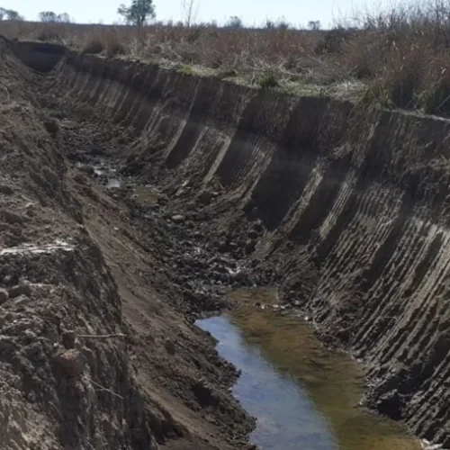 Confirman daño ambiental sobre 5.300 hectáreas del Delta por obras para producción agrícola