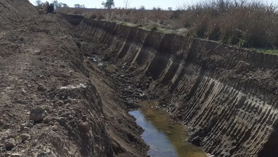 Confirman daño ambiental sobre 5.300 hectáreas del Delta por obras para producción agrícola